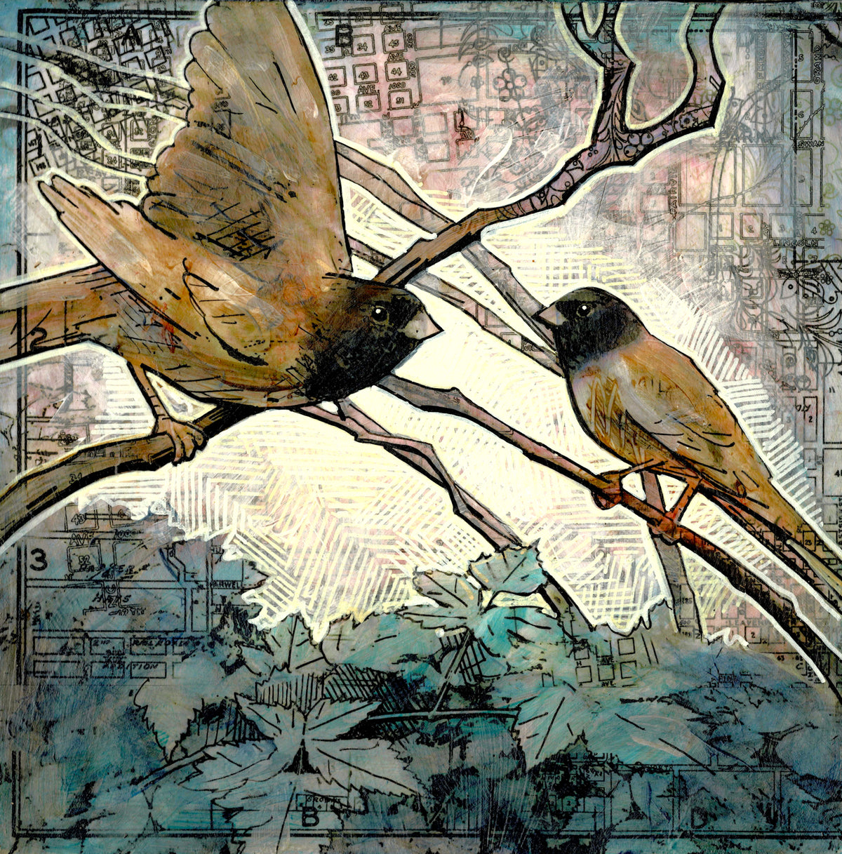 Townbirds: Juncoes 2