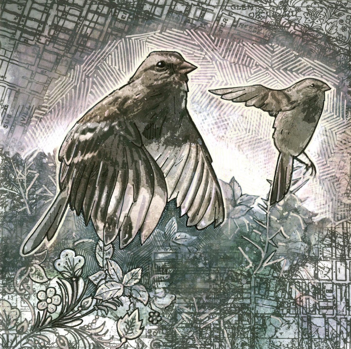 Townbird Papers #1: Sparrows' Thicket