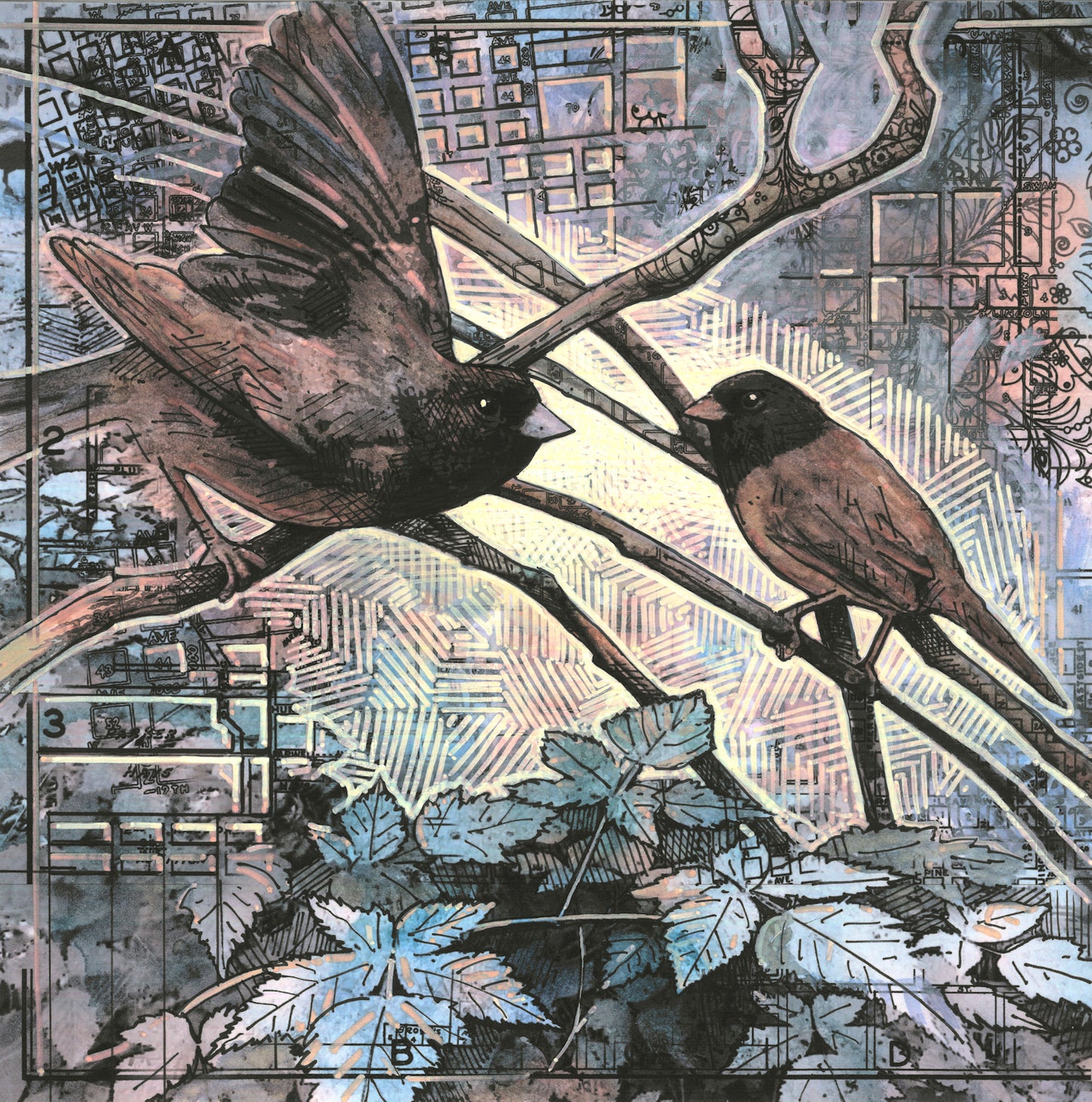 Townbird Papers #5:Junco