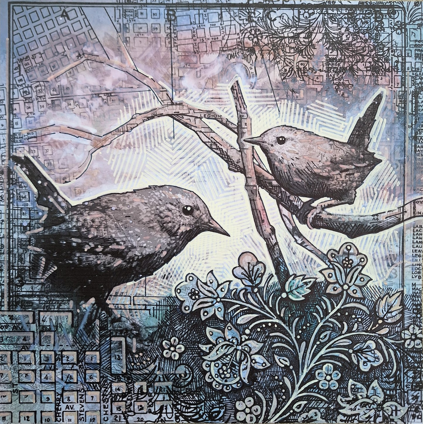 Townbird Papers #3: Wrens