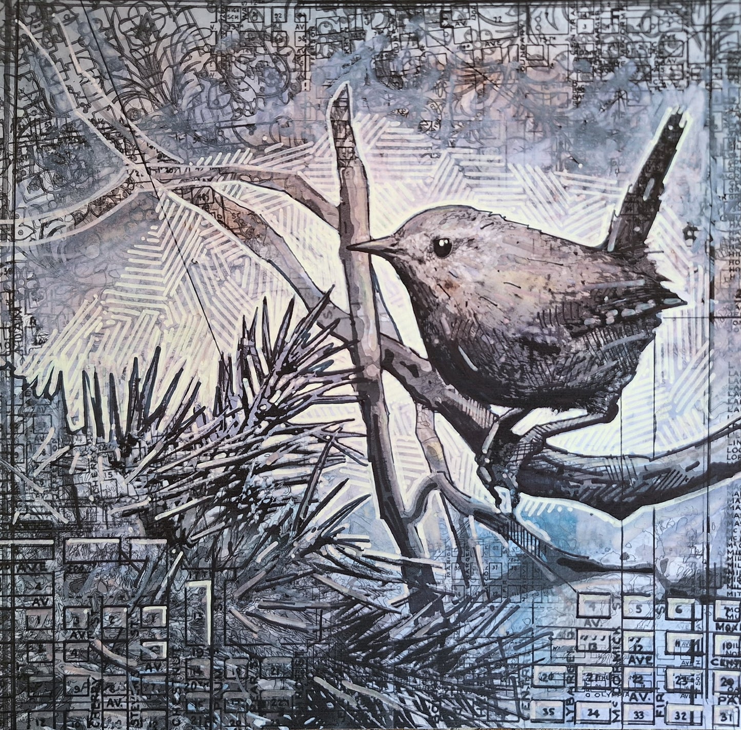 Townbird Papers 4: Wren