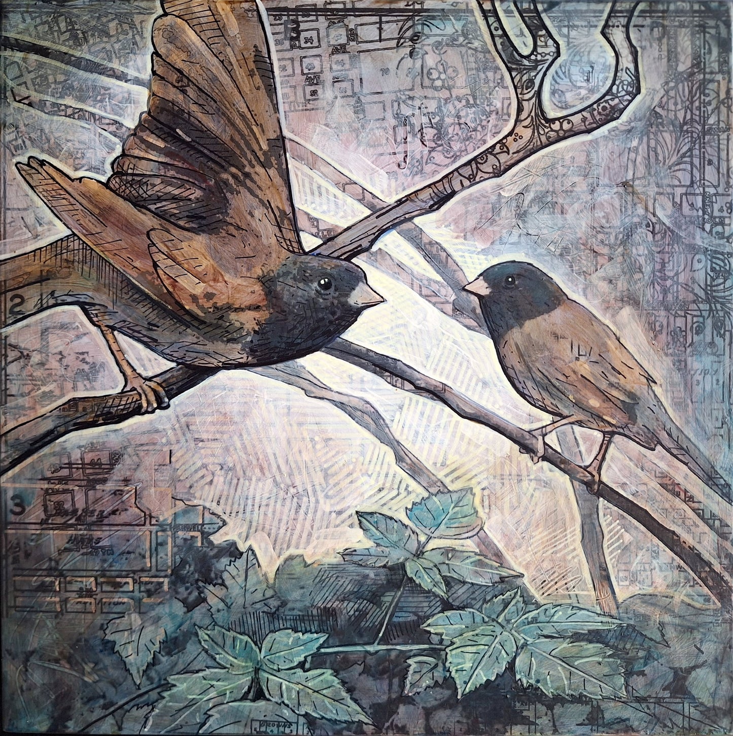 Townbirds: Junco
