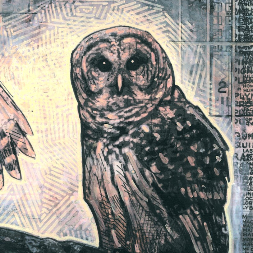 Townbird Papers: The Watchers