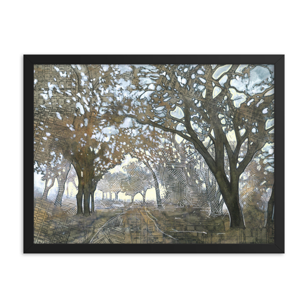 Oaken Path Study #3 Framed Print