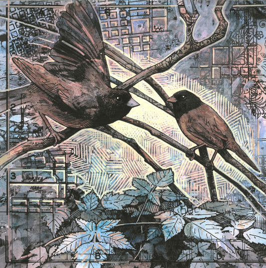 Townbird Papers #5:Junco